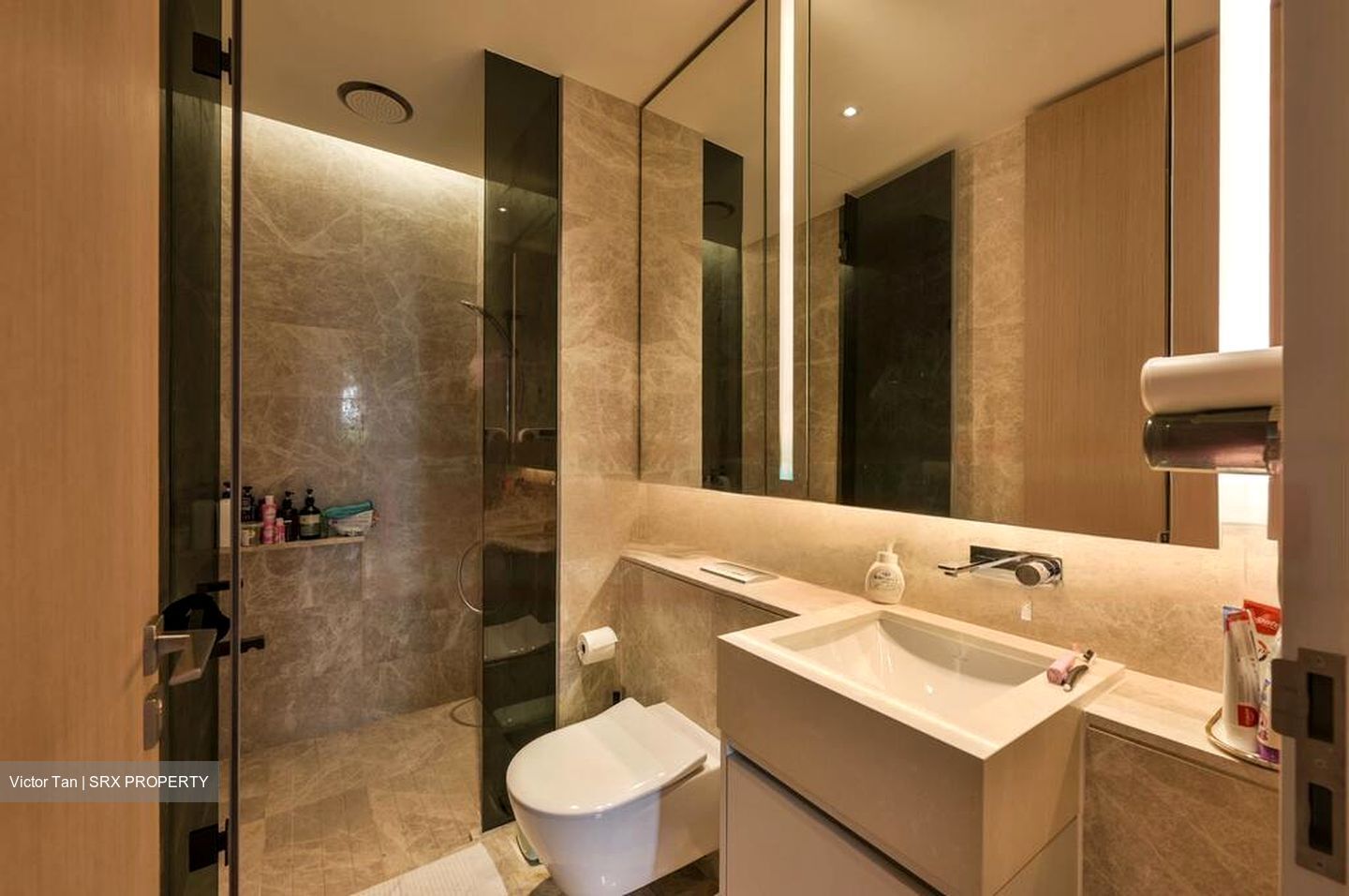 Amber Park (D15), Condominium #565852401